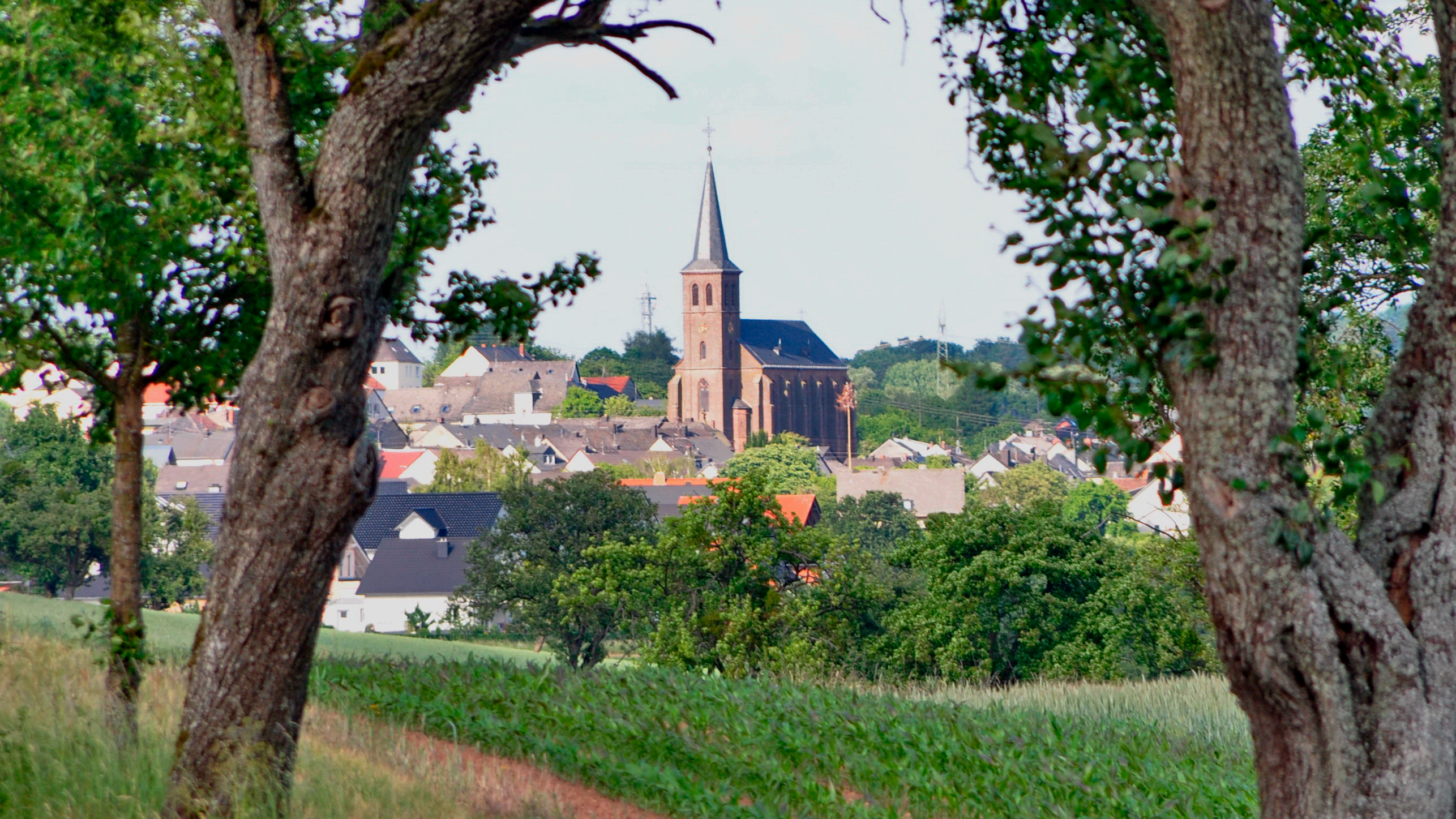 Header Background Medium