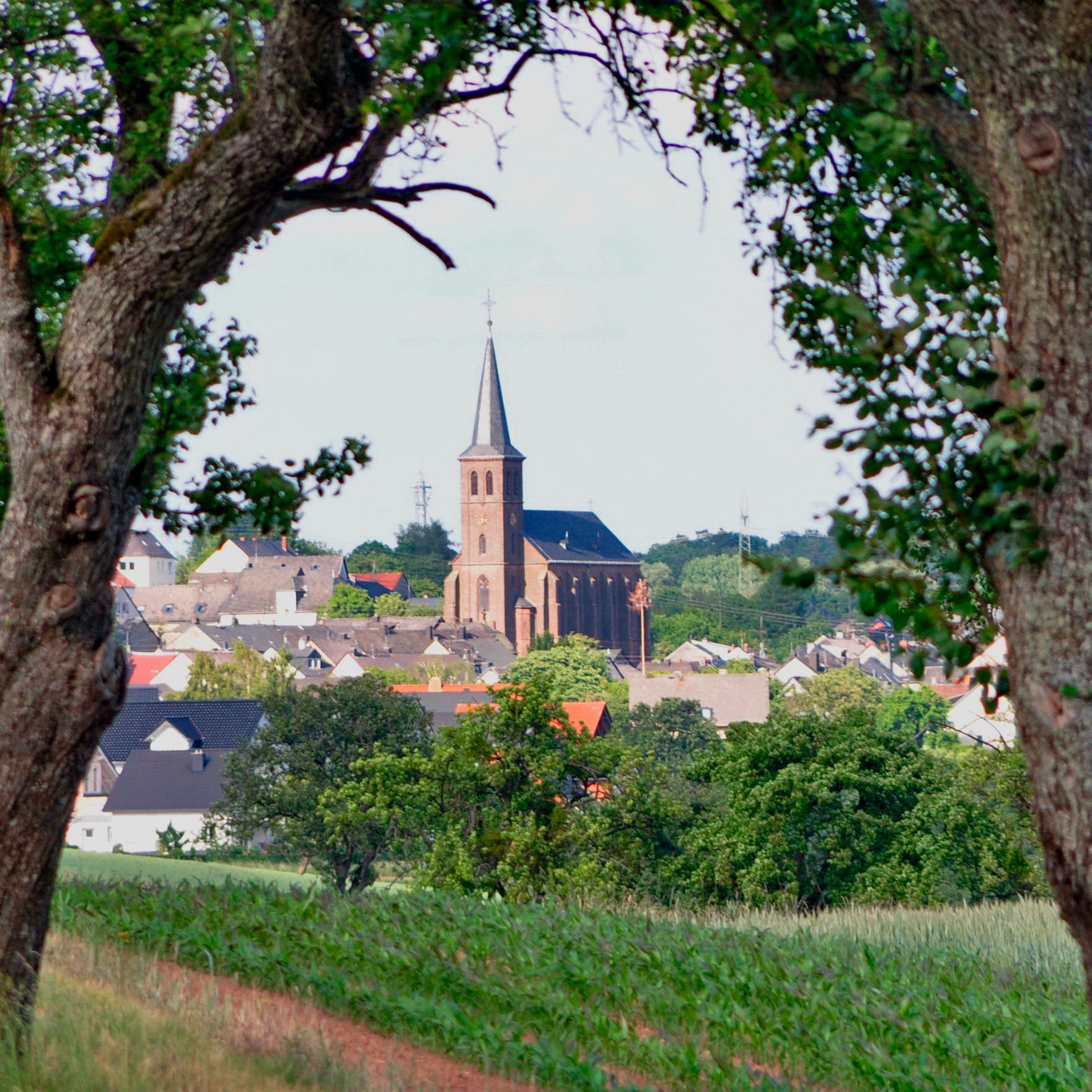 Header Background Small