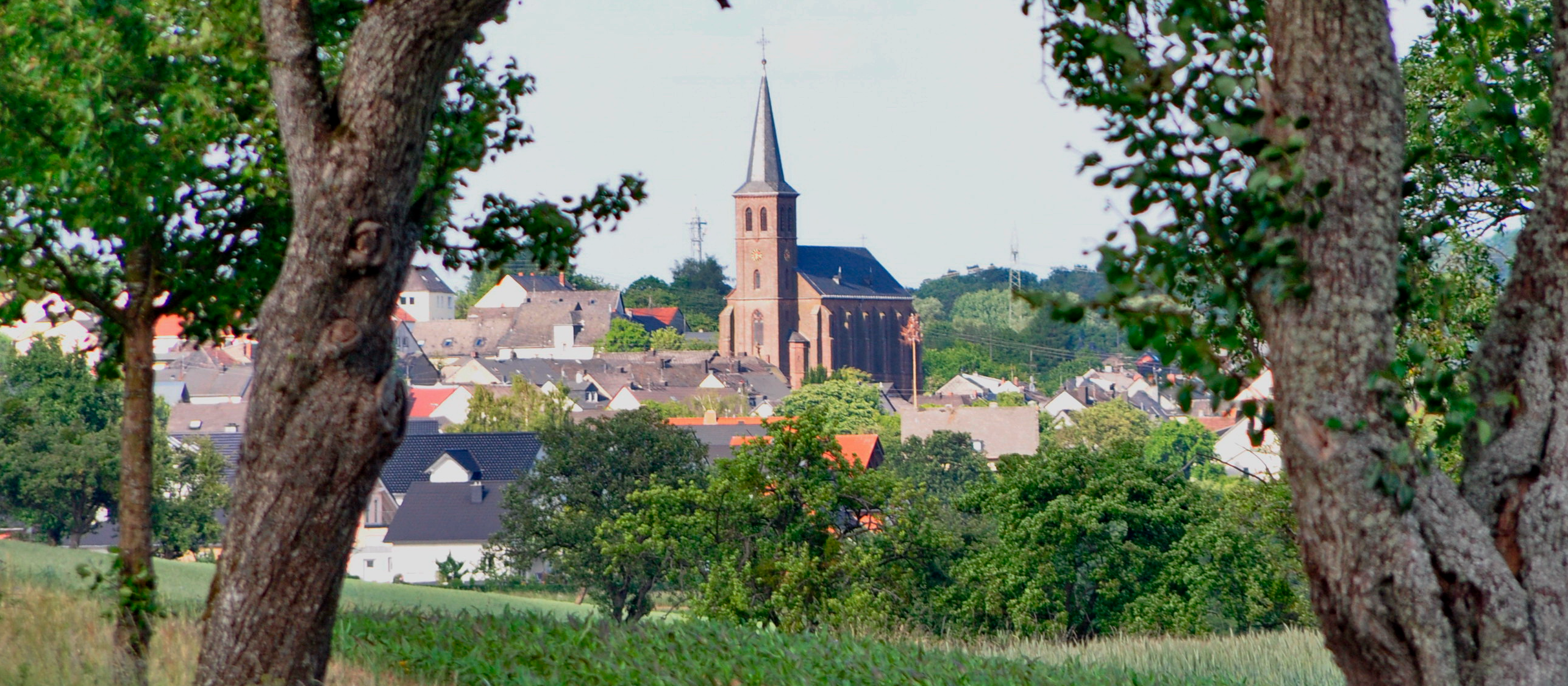 Header Background Large